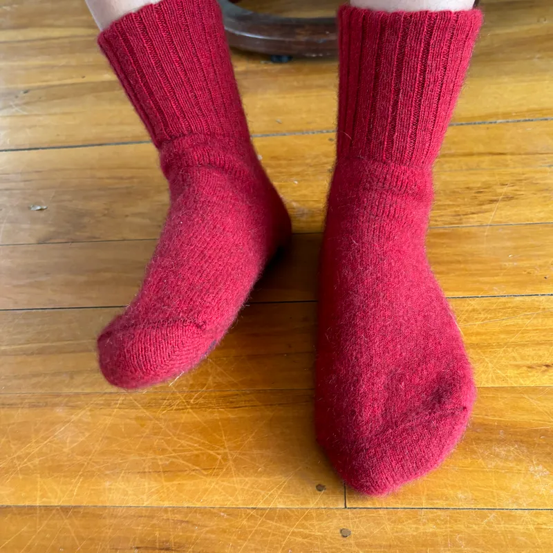 House Sock